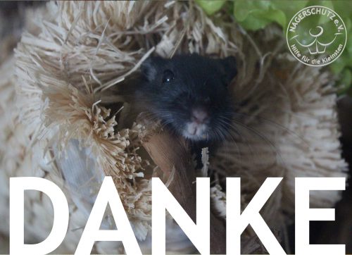 danke3 danke3